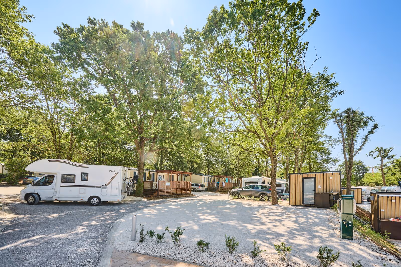Campers op ruime kampeerplaatsen tussen bomen en lage hagen op Camping Bijela Uvala