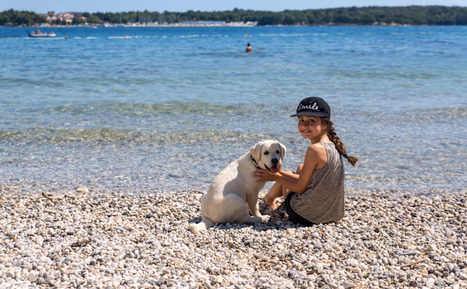 Hond op Camping Bijela Uvala