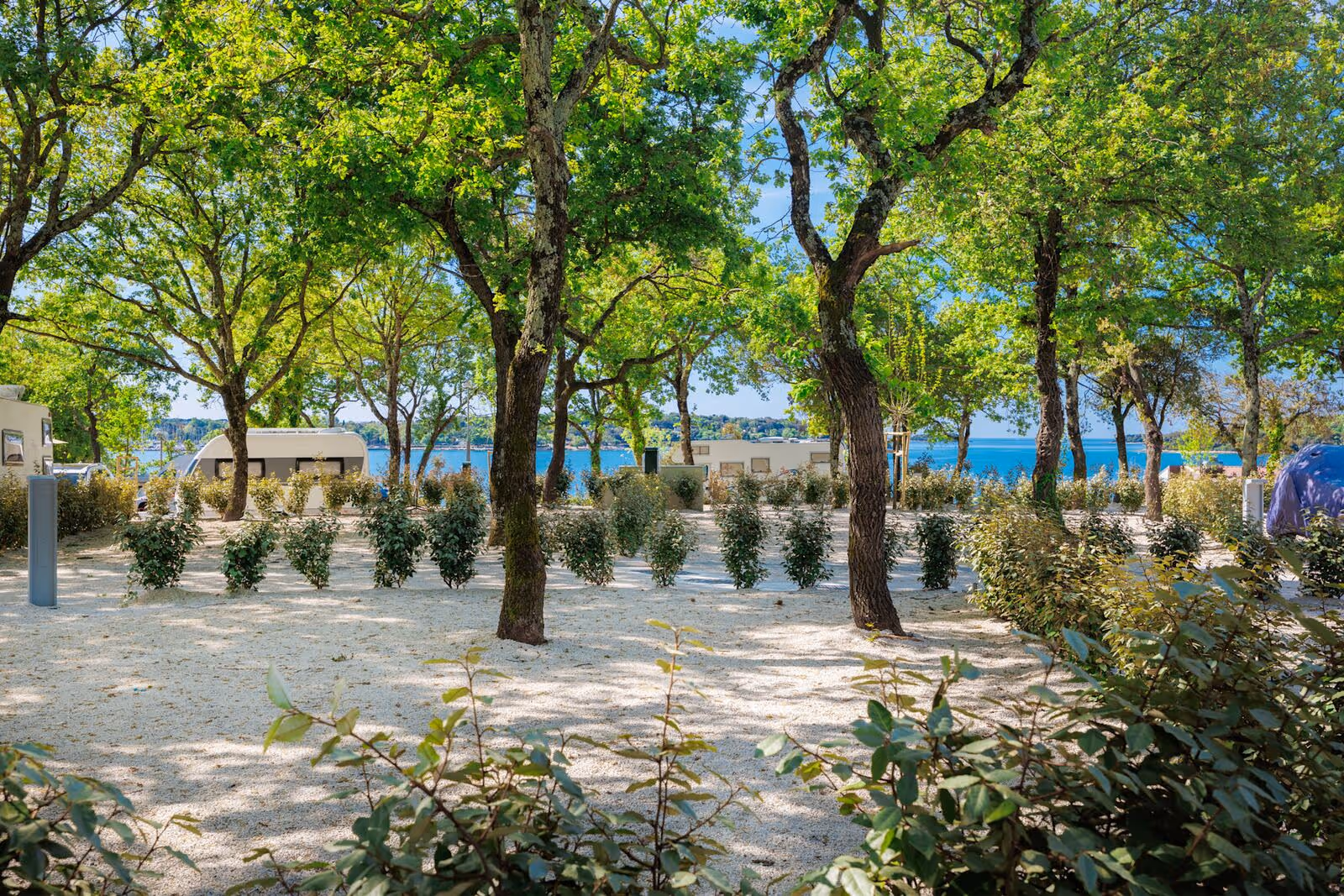 Ruime Superior-kampeerplaatsen onder groene loofbomen op Camping Bijela Uvala